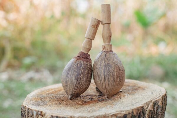 Coconut Shell Hand Shakers Percussion Musical instrument