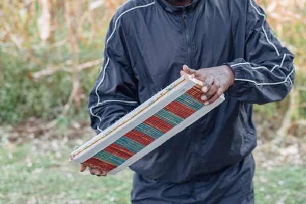 Kayamba Musical Instrument - Image 3